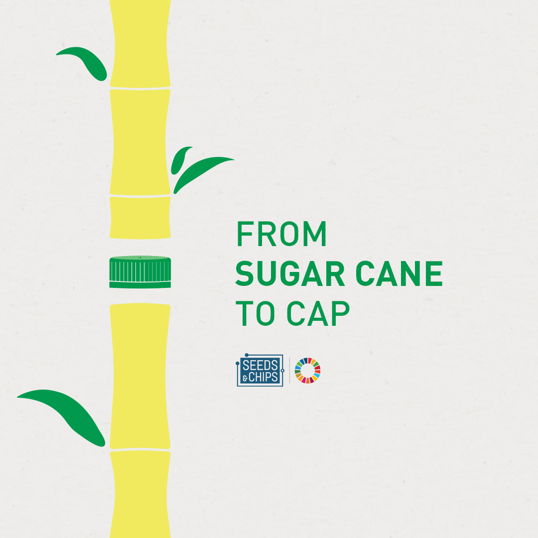 Seeds&Chips tweet media