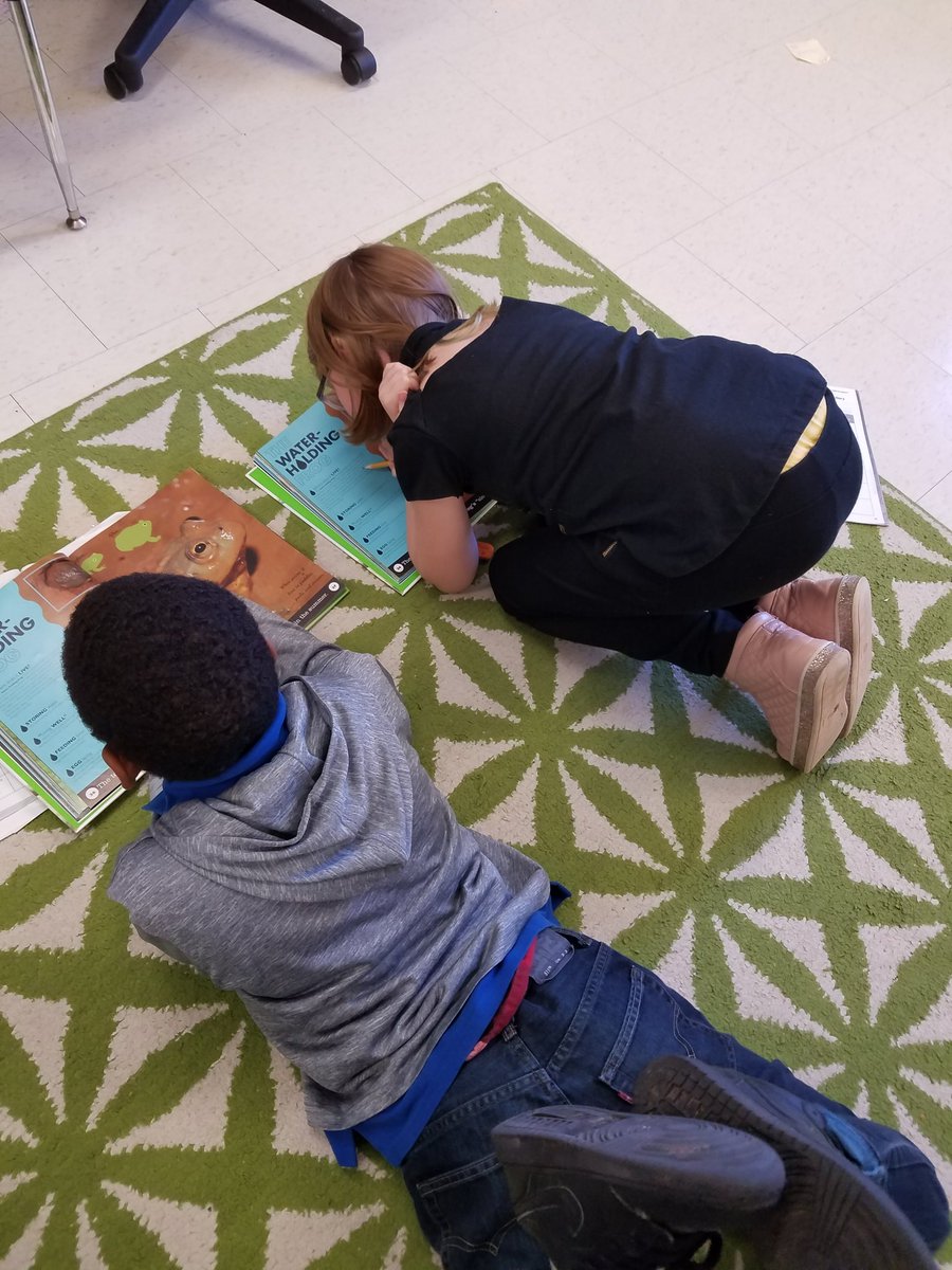 TeachingMsSassy's tweet photo. Preparing for the #jigsaw to inform the other groups about our 🐸. #AmazonHornedFrog #WaterHoldingFrog @DillardES #3rdgradeRocks #Reading2Learn https://t.co/NscuaLuXyD