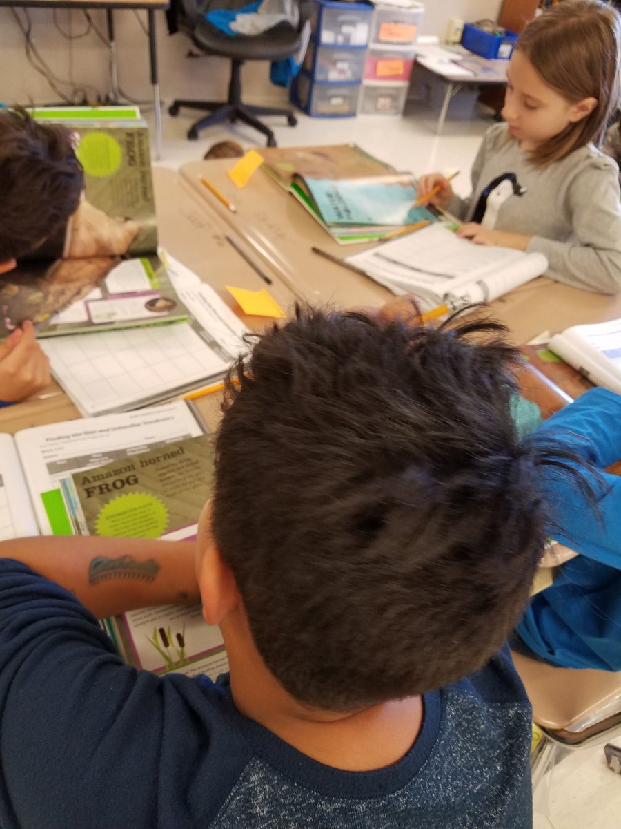 TeachingMsSassy's tweet photo. Preparing for the #jigsaw to inform the other groups about our 🐸. #AmazonHornedFrog #WaterHoldingFrog @DillardES #3rdgradeRocks #Reading2Learn https://t.co/NscuaLuXyD