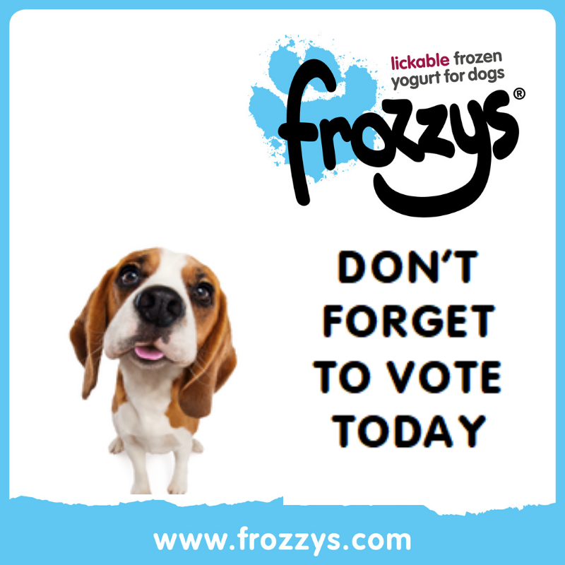 frozzys frozen yogurt pets at home