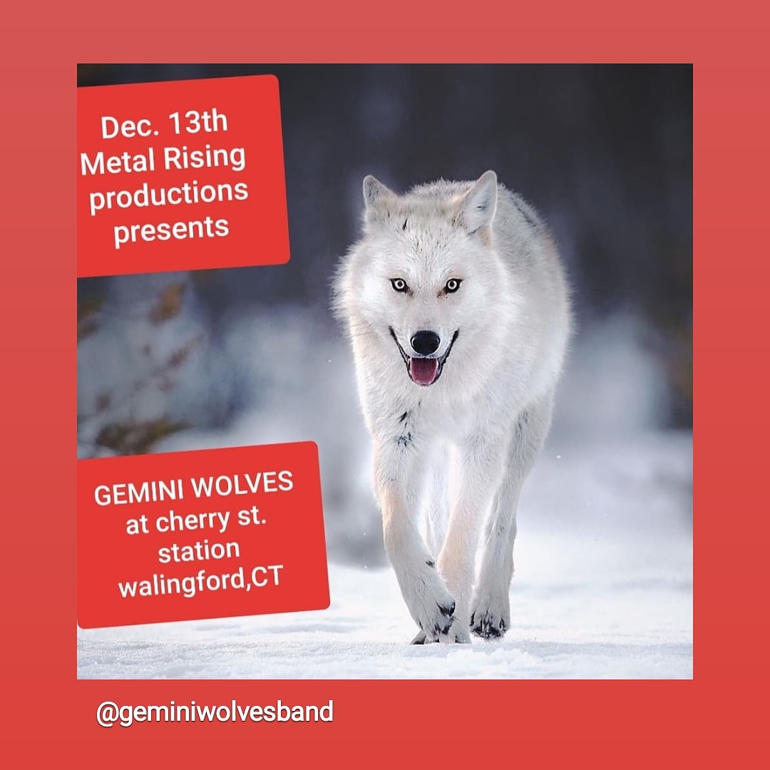 GEMINI WOLVES tweet media