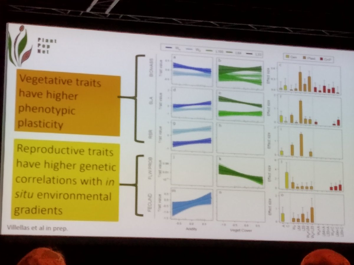 javipuy1's tweet photo. Very inspired with the talk of @y_buckley of the immense #intraspecificvariability of P.lanceolata. All non-native populations where very similar genetically and greatly plastic to env.conditions. Selected to be plastic?
#BES2019 https://t.co/U2nFPPMMRR