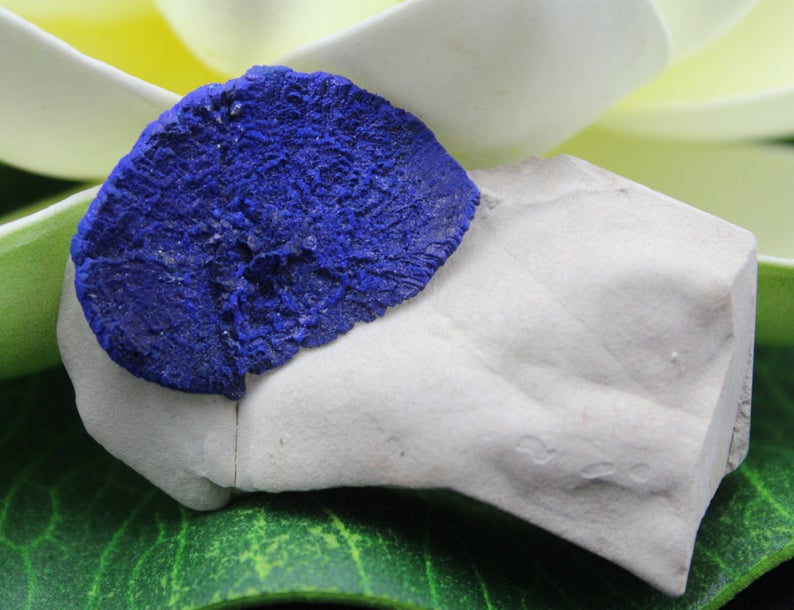 celestialearth7's tweet photo. Azurite Sun on Matrix Mineral Specimen AZUS3
$45.00 /Malbuka Copper Mine, Northern Territory, Australia
Width .5" x length 2" x height 1"
It is sweet specimen that may be small in size but is big in color. 👍😍👍
@ Our shop - Celestialearth7 https://t.co/ouR3nRyDxC