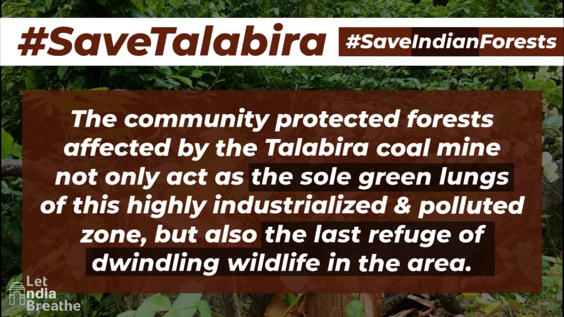 LetIndBreathe's tweet image. #SaveIndianForests #SaveTalabira
