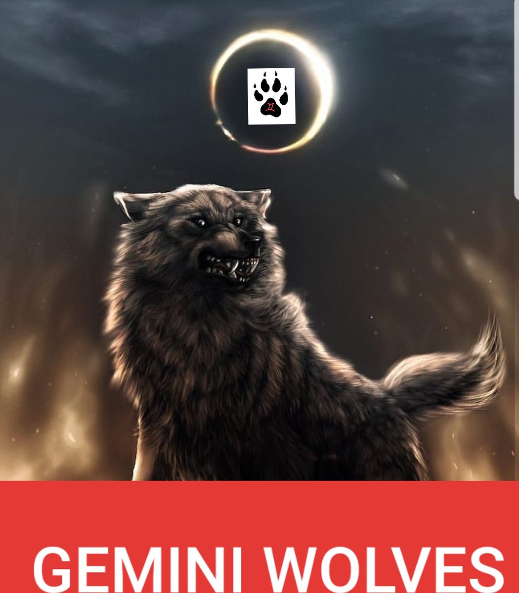 GEMINI WOLVES tweet media