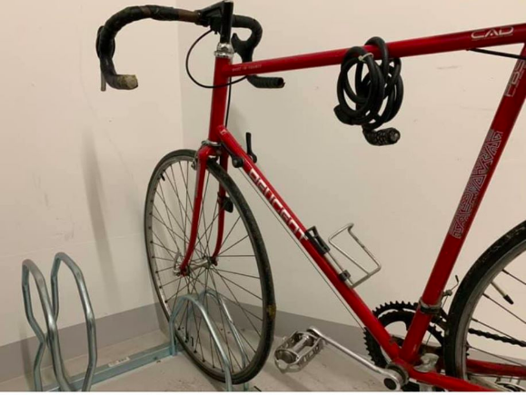 Vigivelo tweet media