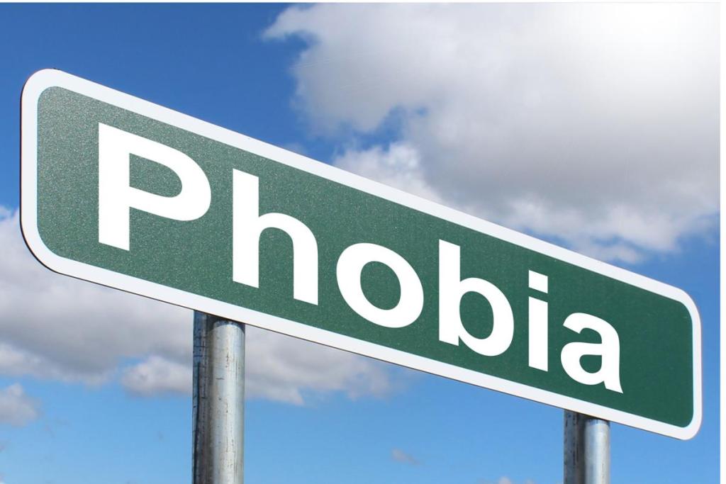 CountyCurrent's tweet image. Ten Weird Phobias countycurrent.com/2019/12/12/ten…