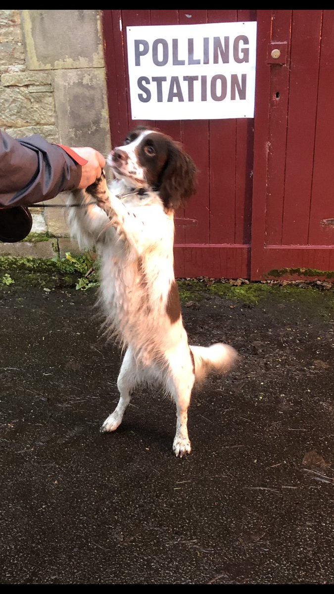 Jules Walker tweet media