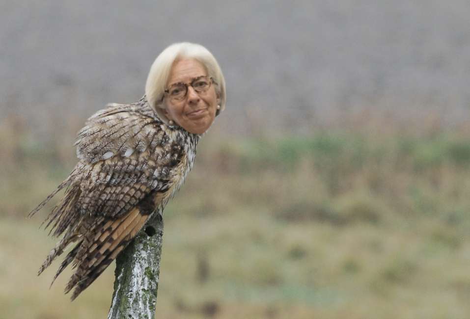 @_DAGOSPIA_'s photo on Draghi