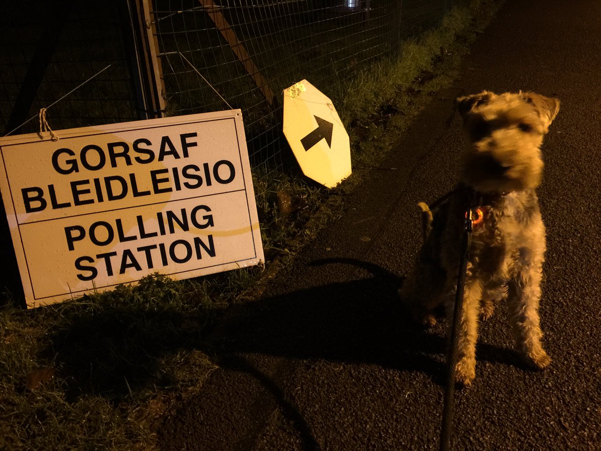 Cnd69Colin's tweet photo. #dogsatpollingstations Dewi dog 🐕 has been to vote on the evening shift ! He was very disappointed that the party he wanted to vote for wasn’t on the voting slip #Whatsthepointvoting
#Votingsgonemad #tacticalvotingiswrong #almostdidntvote
#Getpoliticsbackontrack
😳😤😡🤬 https://t.co/8PnbEJpC1h