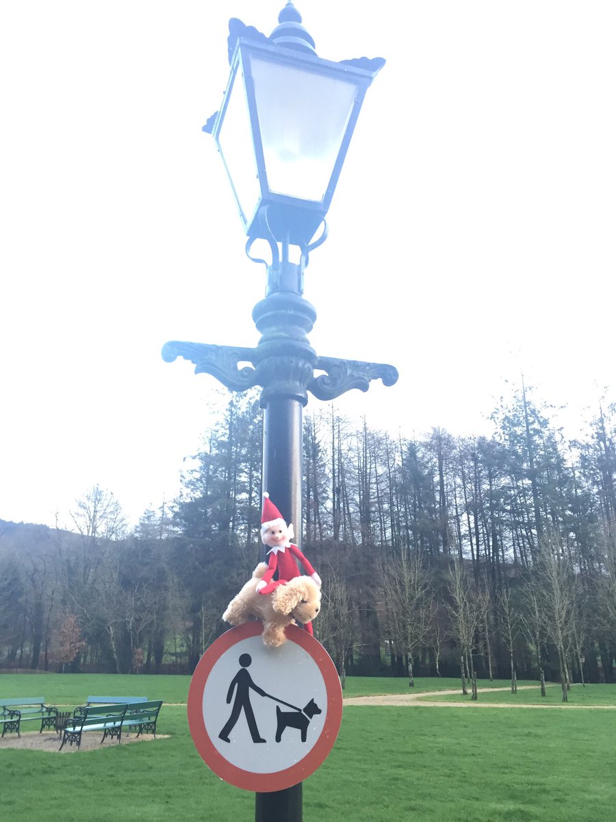 Macreddin's tweet photo. This is taking the dog for a walk to a whole new level... π #BrookElf out and about around Macreddin Village #elfontheshelf #macreddin https://t.co/4ZarwZtE9a
