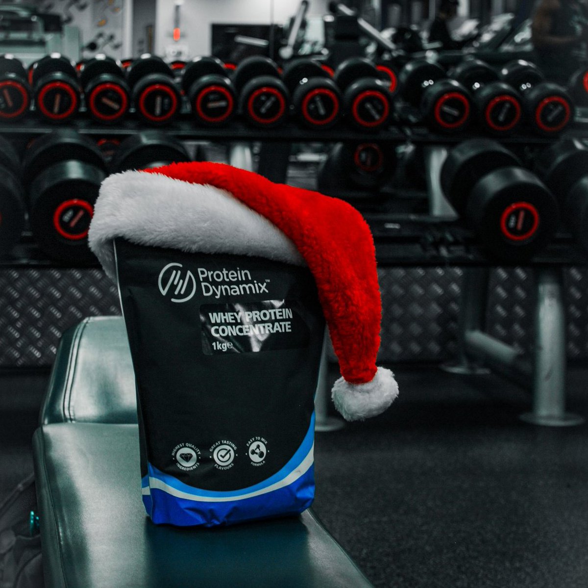 Baby, all I want for Christmas is you... 💙💪
-
Have you checked out our Protein range? Great for increasing your strength, gaining muscle and losing significant amounts of body fat! 💪⁠
-⁠
#PD #ProteinDynamix #protein #wheyprotein #dietprotein #fitness #nutrition #ThePDClub