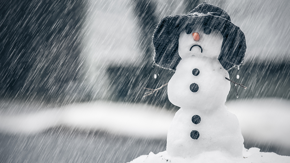 Everyone knows the holiday season can be stressful. Whether you're hosting a potluck at home or traveling across the country, try these methods to keep holiday burnout away!

wesleyan.cafebonappetit.com/four-simple-sh…