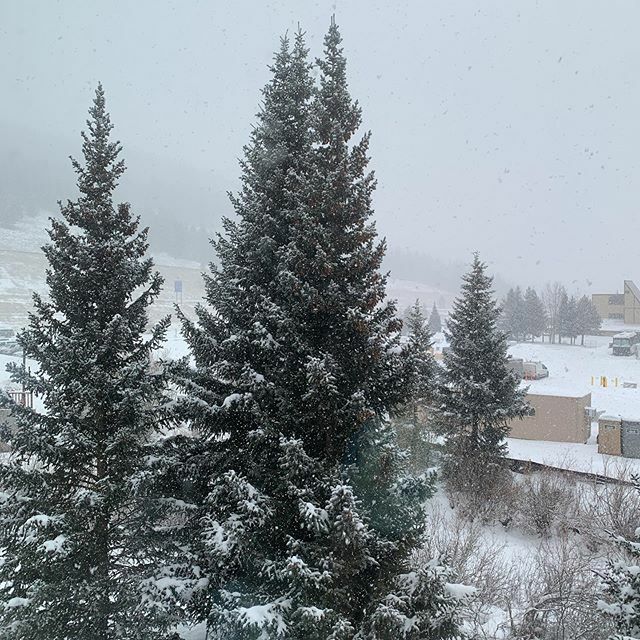 LeftyLucyband's tweet photo. Big Storm coming to @coppermtn this weekend it’s already started. @leftylucyband plays Jack’s Bar Thur-Fri-Sat 3:30pm. Drink Specials and Swag give-a-ways. Make plans. Oh yeah Shotskis too!! https://t.co/xsQnkkNDlh https://t.co/A6K9cBUrBz