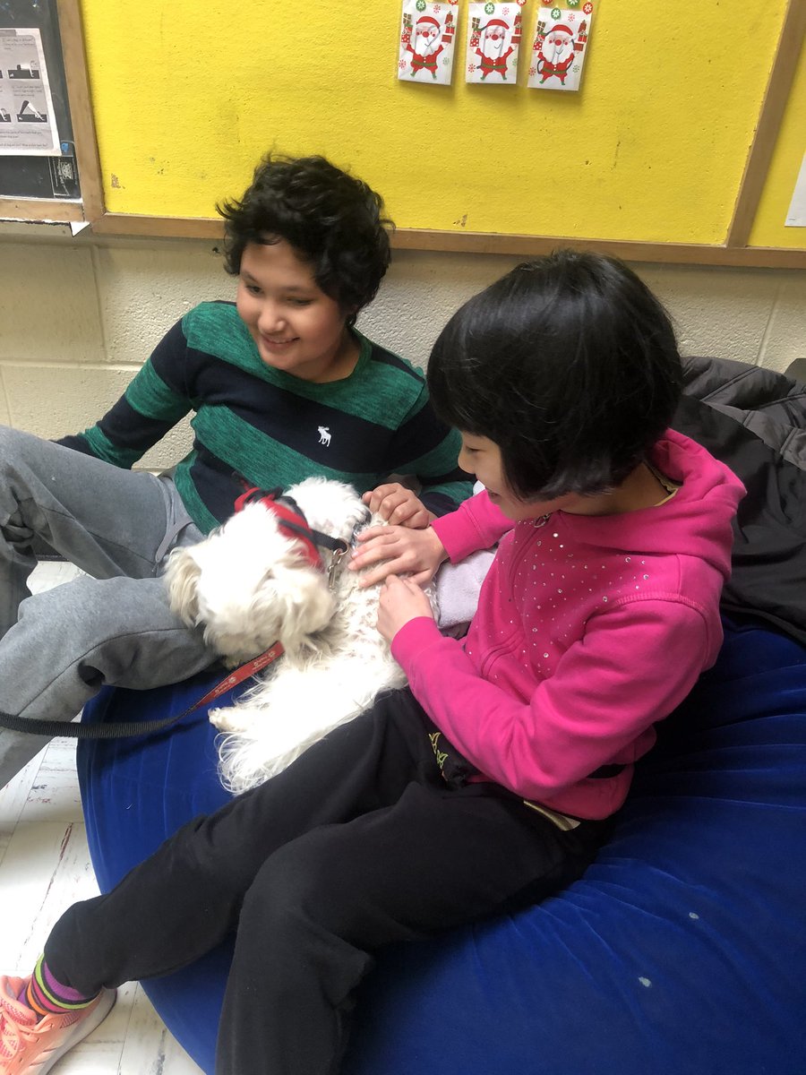 s_deeck's tweet photo. All we need is some Boo Therapy to get us through the next 7 days ! @HillcrestMS1 #therapydog https://t.co/27ij0lFu4f