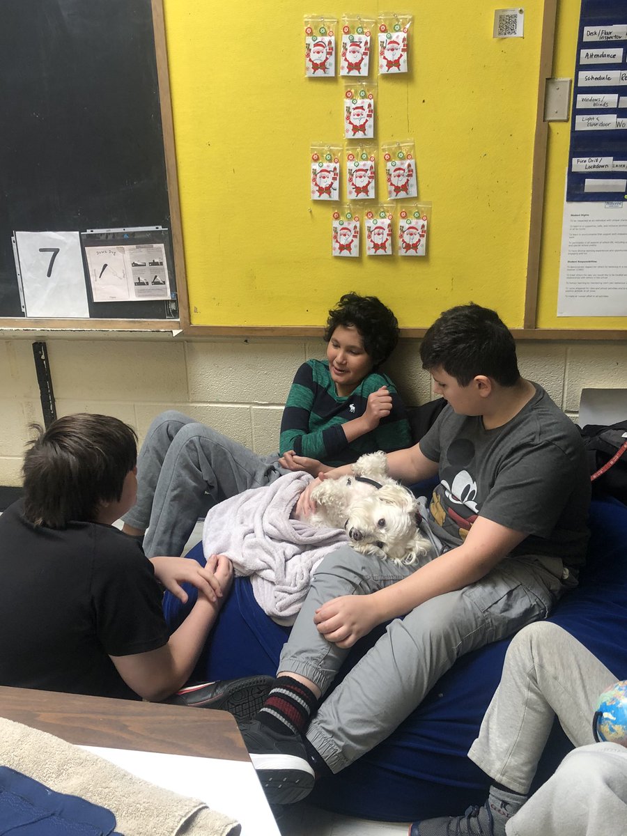 s_deeck's tweet photo. All we need is some Boo Therapy to get us through the next 7 days ! @HillcrestMS1 #therapydog https://t.co/27ij0lFu4f