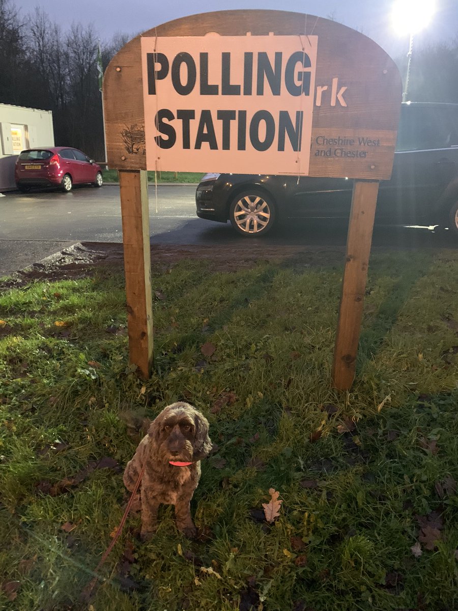 General Election 2019 🗳 

#GeneralElection2019
#dogsatpollingstations 
#dogsoftwitter 
#dogsofchester #cheshirewestandchester