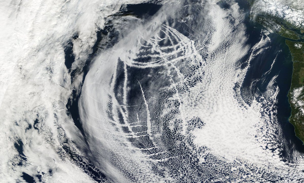 chicksopinion's tweet photo. Totally normal clouds right?!? #chemtrails #GeoEngineering I don’t remember studying crosshatch cloud patterns. #haarp #haarpclouds https://t.co/vMeWNz27sn