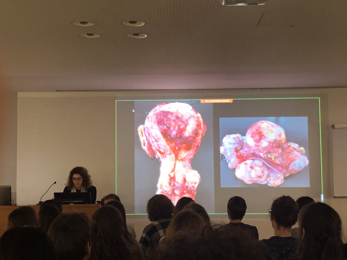 bellvitgepath's tweet image. Des de ponent, un altre cas fascinant i una excelent presentació #scap2020