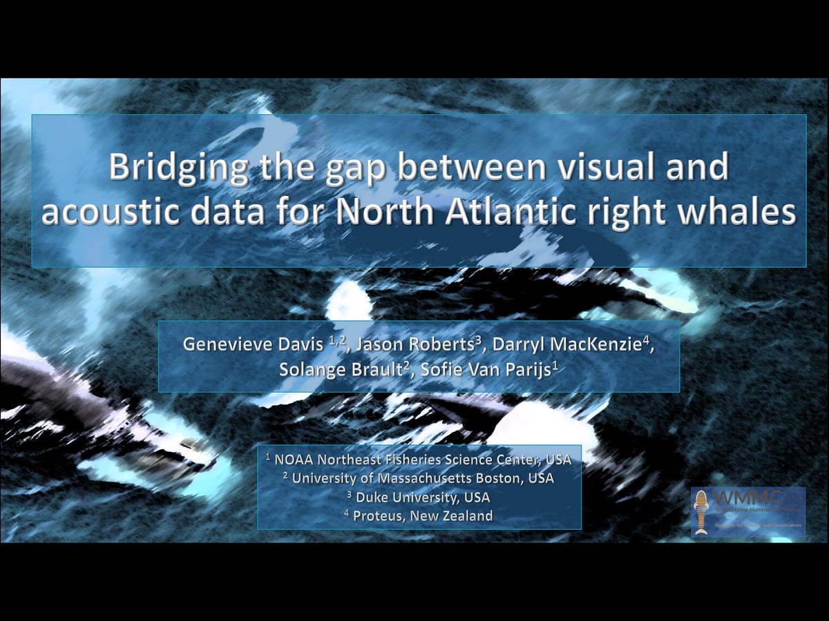 Occupancy modelling catching on in the marine world? An application from Genevieve Davis at #WMMC2019 to combine different types of data.