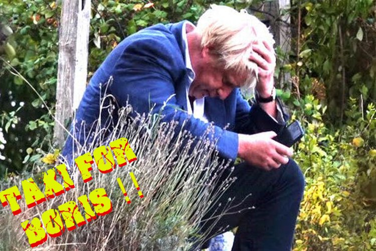 A1_Bunny's tweet photo. #GE2109 #generalerection #GeneralErection2019 #vote4Boris #VoteConservativeActually
#GetBrexitDone #GE2019 https://t.co/DiKApQ3fX6