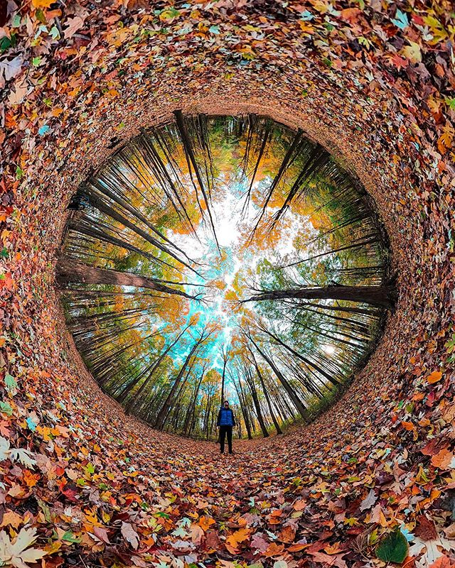 🍂 What super rad 360 GoPro capture by <a href="/k_wicksy/">Kyle Wicks</a>! Be sure to tag #GoWorx and let us see your best shots!