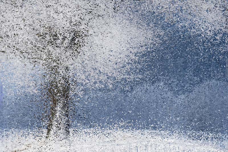 Abstract winter scene.

alex-mir.pixels.com/featured/abstr…