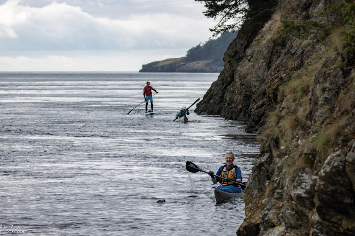GoodPaddle tweet picture