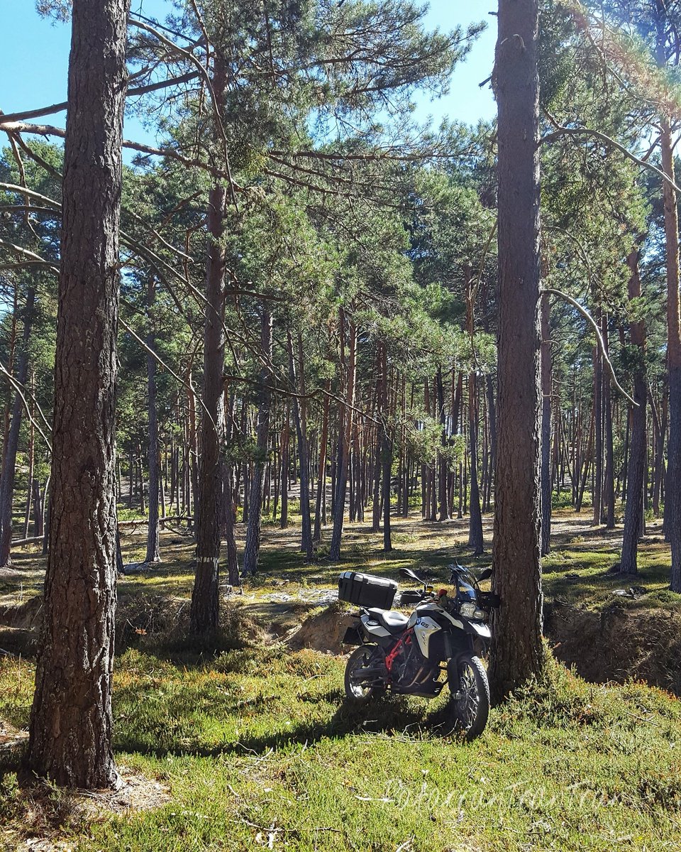 MaestrePatarran's tweet photo. I-LOVE-RIDE.
😉
#nofilters #KeepCalmAndRideOn #spainisdifferent #IloveRide #bmwmotorrad #f800gs #spiritOfGS #makelifearide #gs #bmwgsfans #megustanlasmotos #dosruedas https://t.co/EAhNyrC7XA