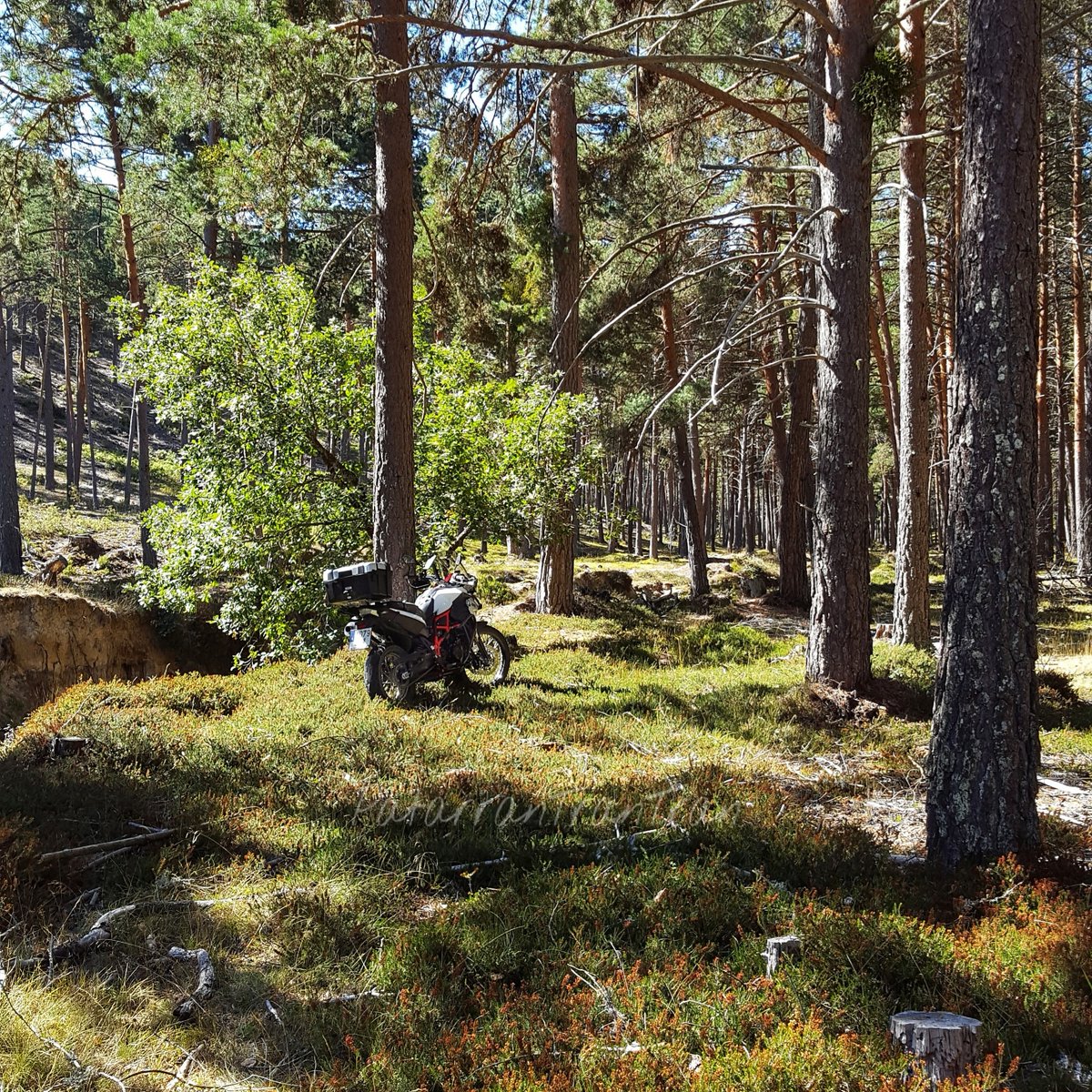 MaestrePatarran's tweet photo. I-LOVE-RIDE.
😉
#nofilters #KeepCalmAndRideOn #spainisdifferent #IloveRide #bmwmotorrad #f800gs #spiritOfGS #makelifearide #gs #bmwgsfans #megustanlasmotos #dosruedas https://t.co/EAhNyrC7XA