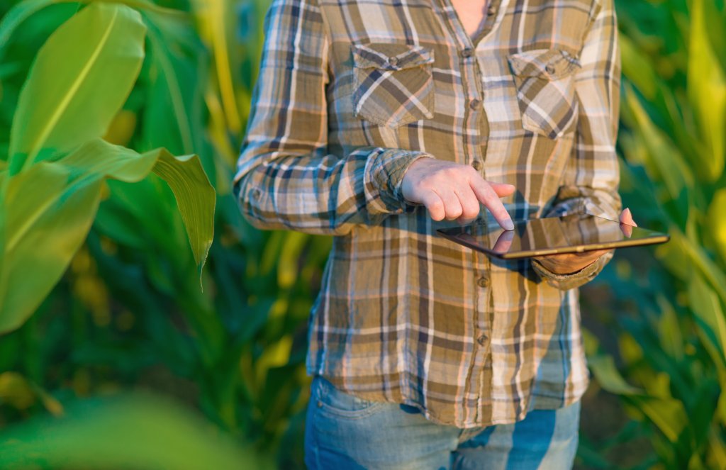 Lauren Fry tweet media