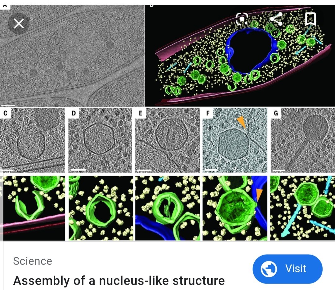جايب لكم خبر علمي رهيييب...
عندما تجتمع العقول من #علم_الوراثة  و #علم_الأحياء_الجزيئية 
ينتج ??الفي...