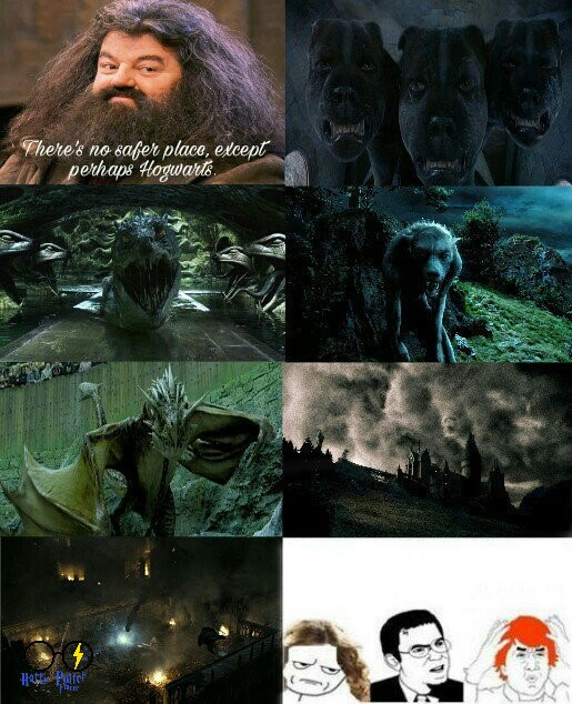 Harry Potter France tweet media