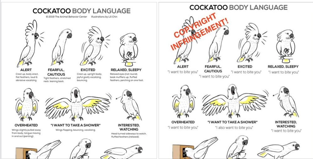 PEACsandiego's tweet photo. Someone has stolen Lara Joseph’s (The Animal Behavior Center) copyrighted material &amp; illustrations by Lili Chin, and put “funny comments” below the drawings. This was created to share body language info to the community. If you see it - let her/us know! This is STOLEN MATERIAL. https://t.co/F3EbgDgAvI