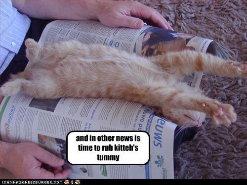 ThePhilosopurr's tweet photo. Tummy rubs?
#Cats #Purrsday
Beware, some cats use this cuteness as a ploy.
#KnowYourCat
Purrceed with caution ππΎ https://t.co/l322JvkrhG