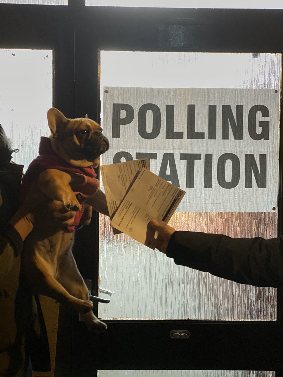 undercrackersuk's tweet photo. Margot has voted! Democracy for dogs is rightfully rife across the nation! #dogsatpollingstations https://t.co/IW8Hdm6fYj