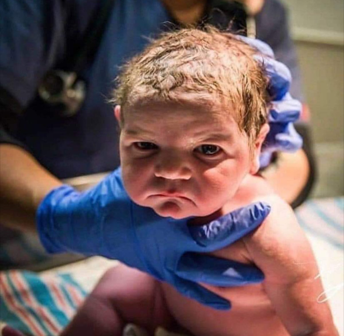 dnacatching's tweet photo. When someone says "I was born to be a catcher" this is the face I imagine after birth! Takes a special mentality and attitude. #grinder #lifeofacatcher https://t.co/j9dsdMnwWq