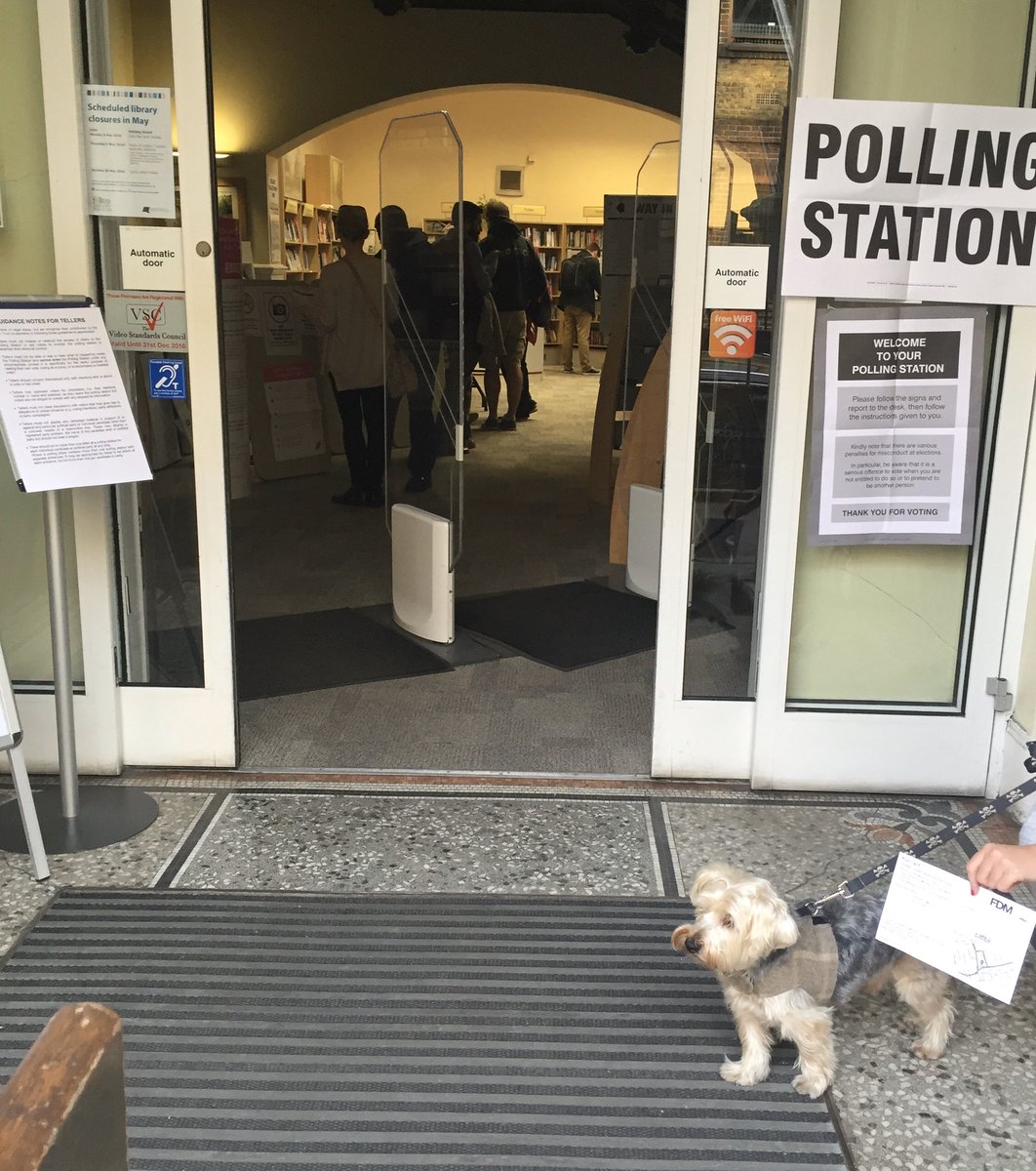 Bertie absolutely refused to participate today.  Instead this is 2017 pic.  Wouldn’t budge and insisted on staying home.   #dogsatpollingstations