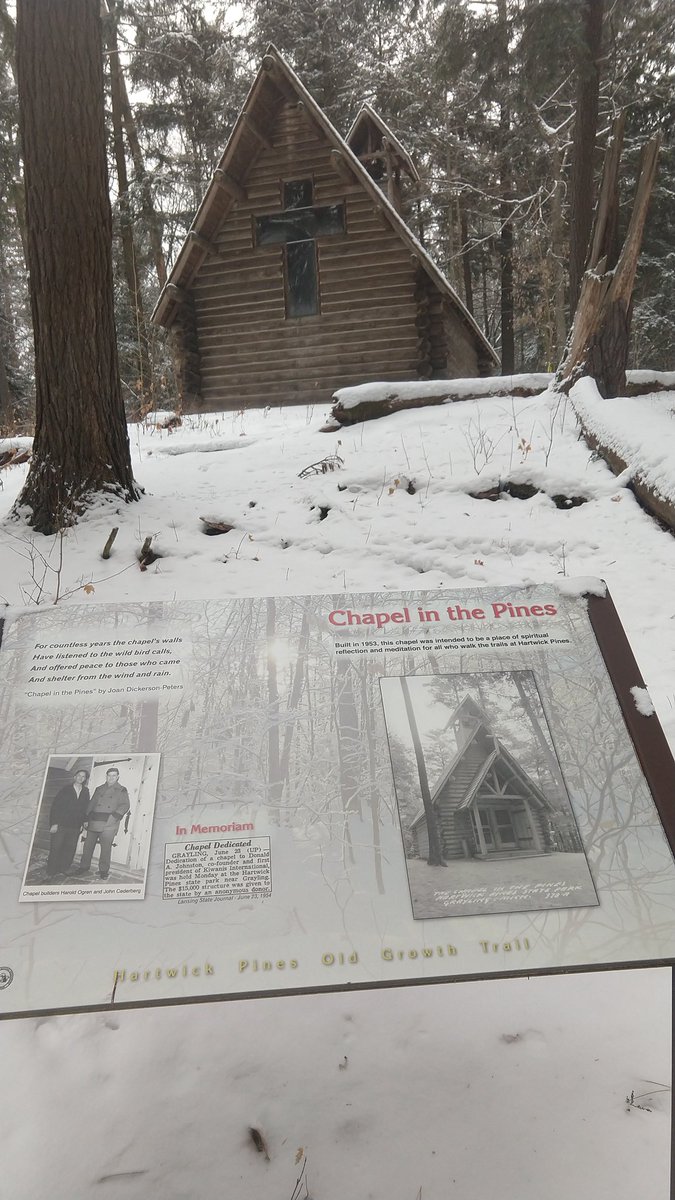 mkellytweets's tweet image. A quick stop on the way north at one of Michigan's greatest conservation sites. #hartwickpines #mistateparks #oldgrowth #whitepine @MichiganDNR @MiStateParks