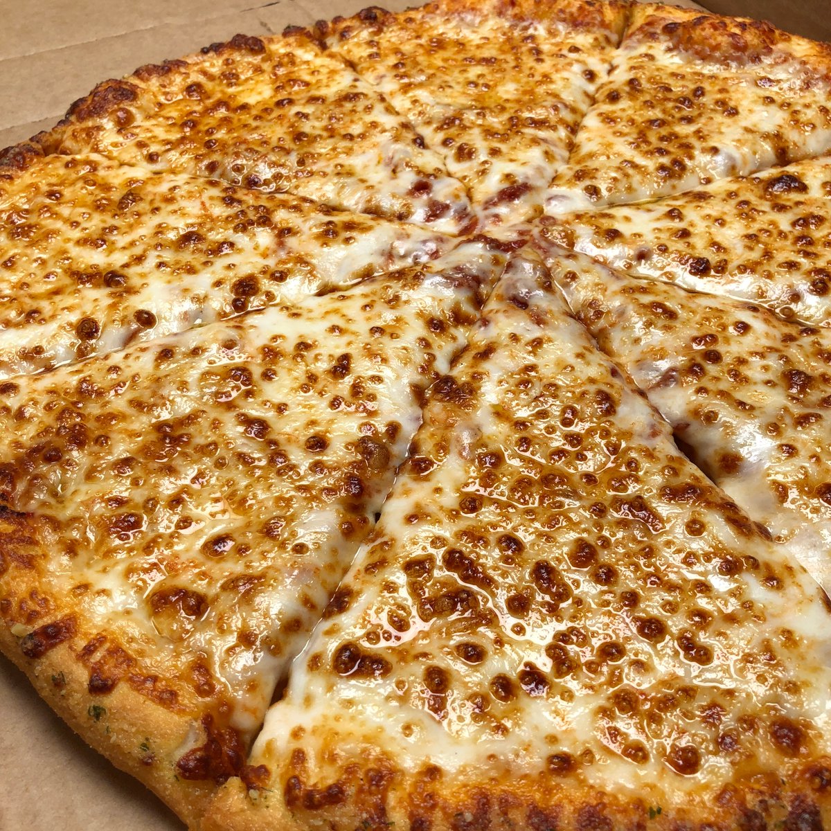dominos's tweet photo. The weather outside is frightful. 

But the pizza is so delightful. 🎶🍕❄️ https://t.co/v4UqM3VAjp