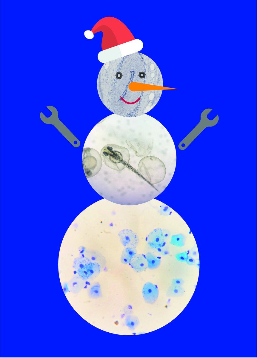 in2scienceUK's tweet image. “My placement exceeded my expectations and I am interested in pursuing engineering”- 2019 #in2scienceUK participant. Join us in making a difference for more year 12 students by hosting a two week placement! Find out more: in2scienceuk.org/hosts/ #STEM #microscopeart