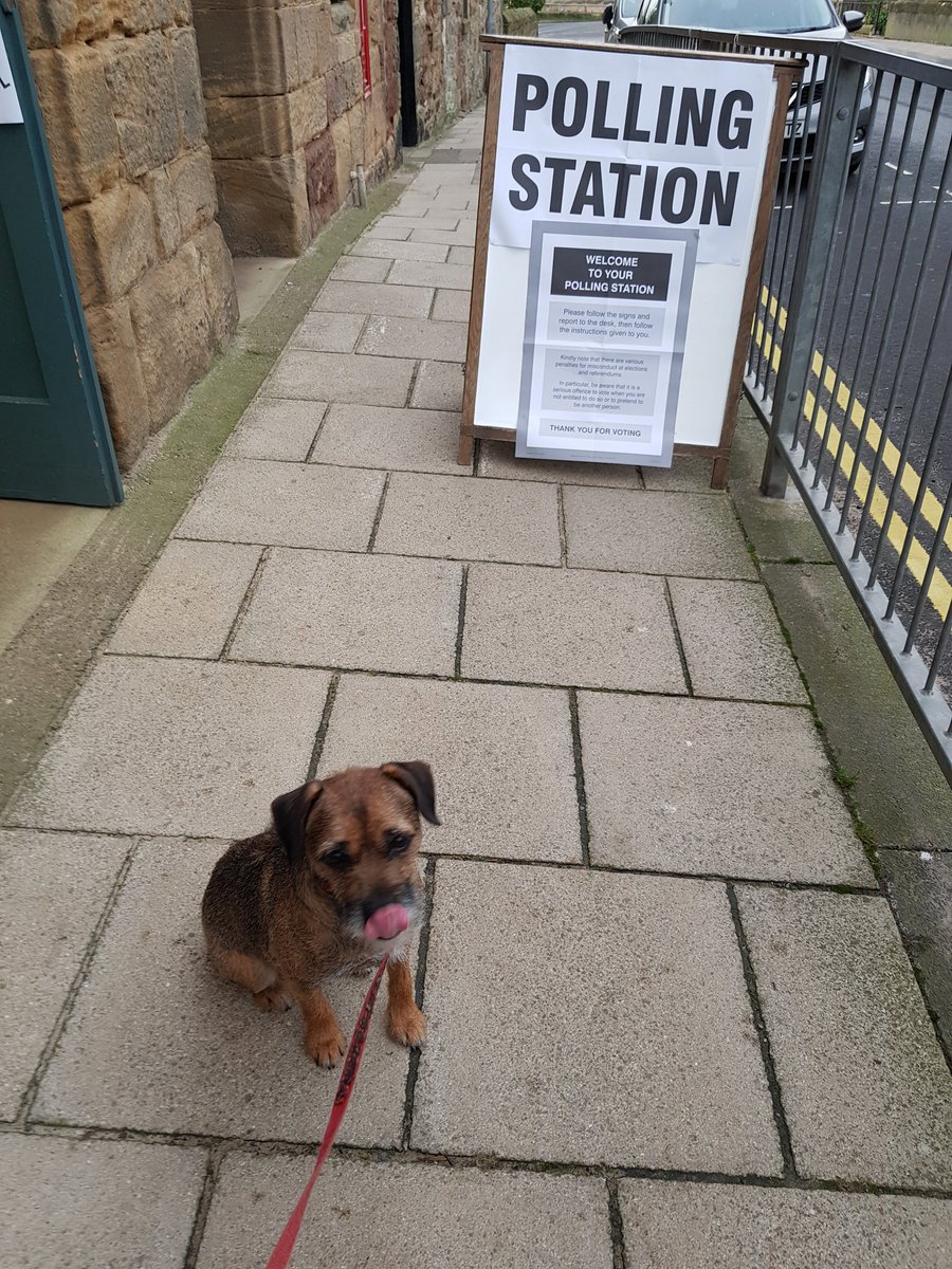 gojozippy's tweet photo. #dogsatpollingstations Zippy for Corbone! 🐾 https://t.co/ZuIsEzR2K5