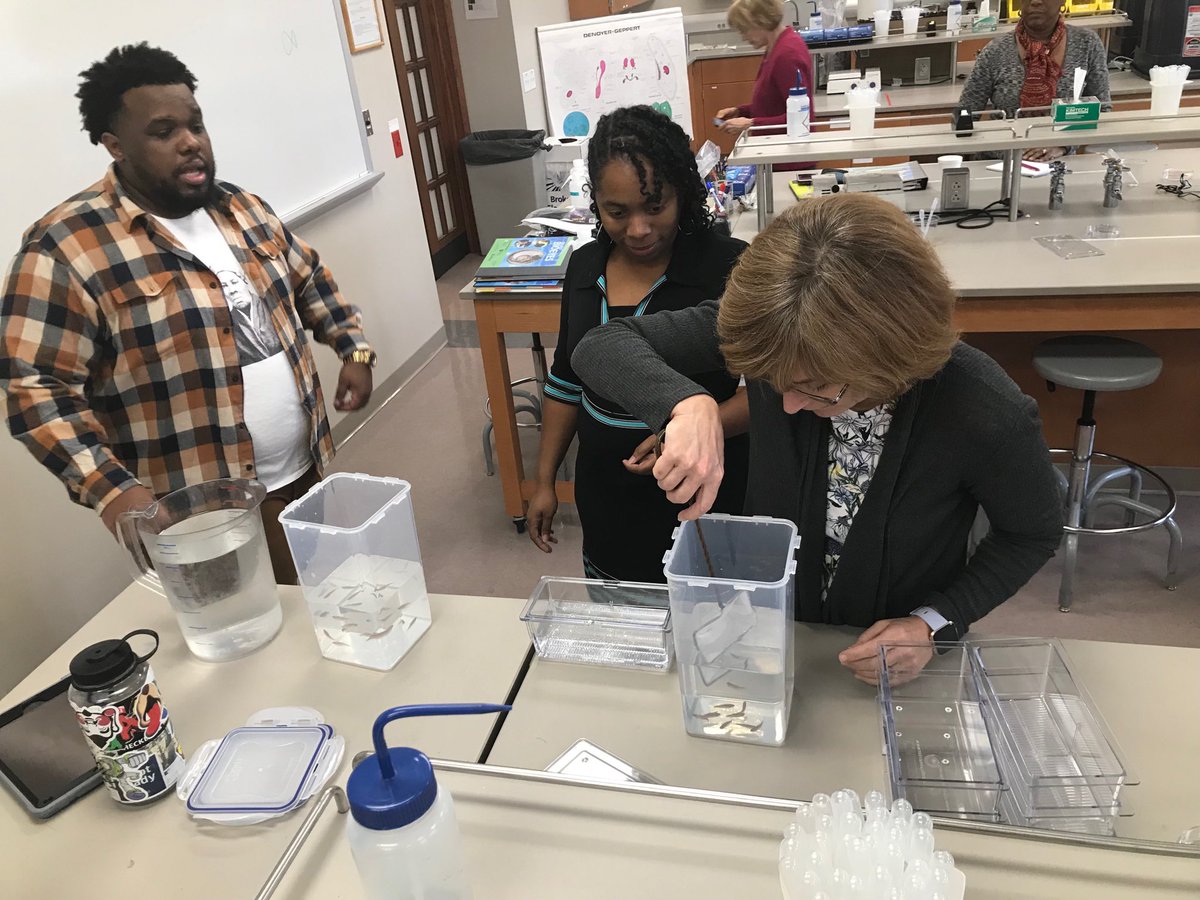 ucitylearns's tweet photo. Our โฆ@ucitylearnsโฉ middle school science teachers are learning โฆ@FontbonneUโฉ today w/#bioeyes! https://t.co/1BuynoYFW8