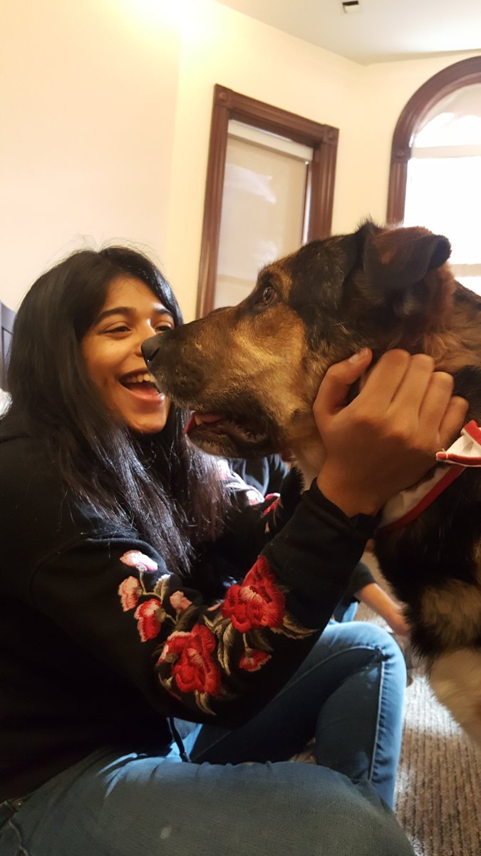 University of Toronto Student Life tweet media