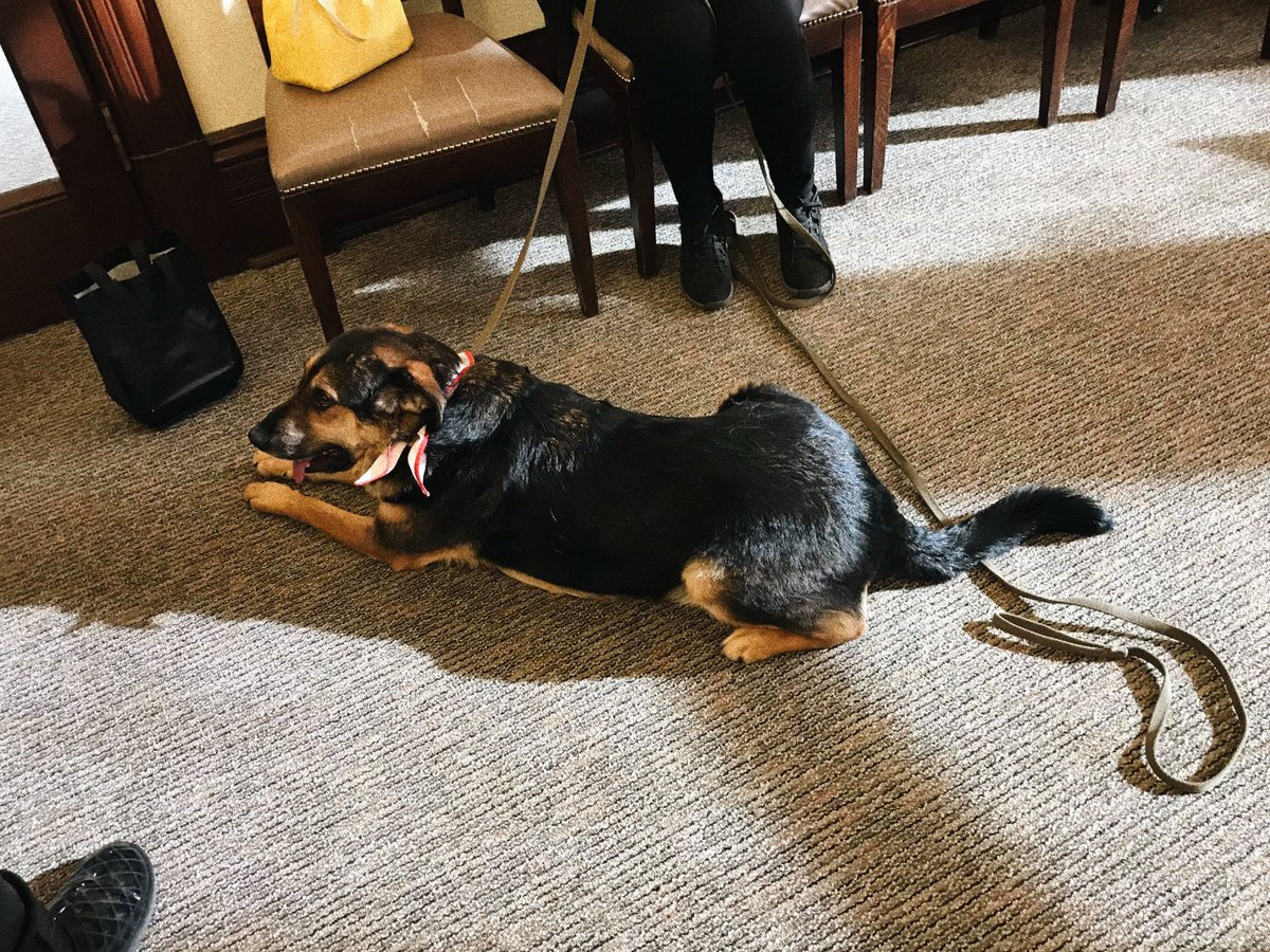 University of Toronto Student Life tweet media