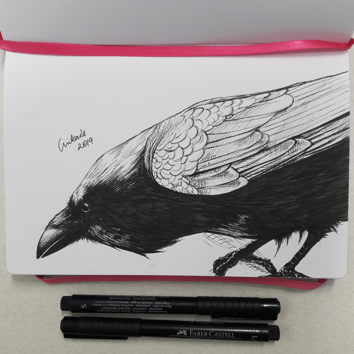 Cnikaite's tweet photo. What better way to christen a sketchbook than with crows... https://t.co/4GNLYCH9ss