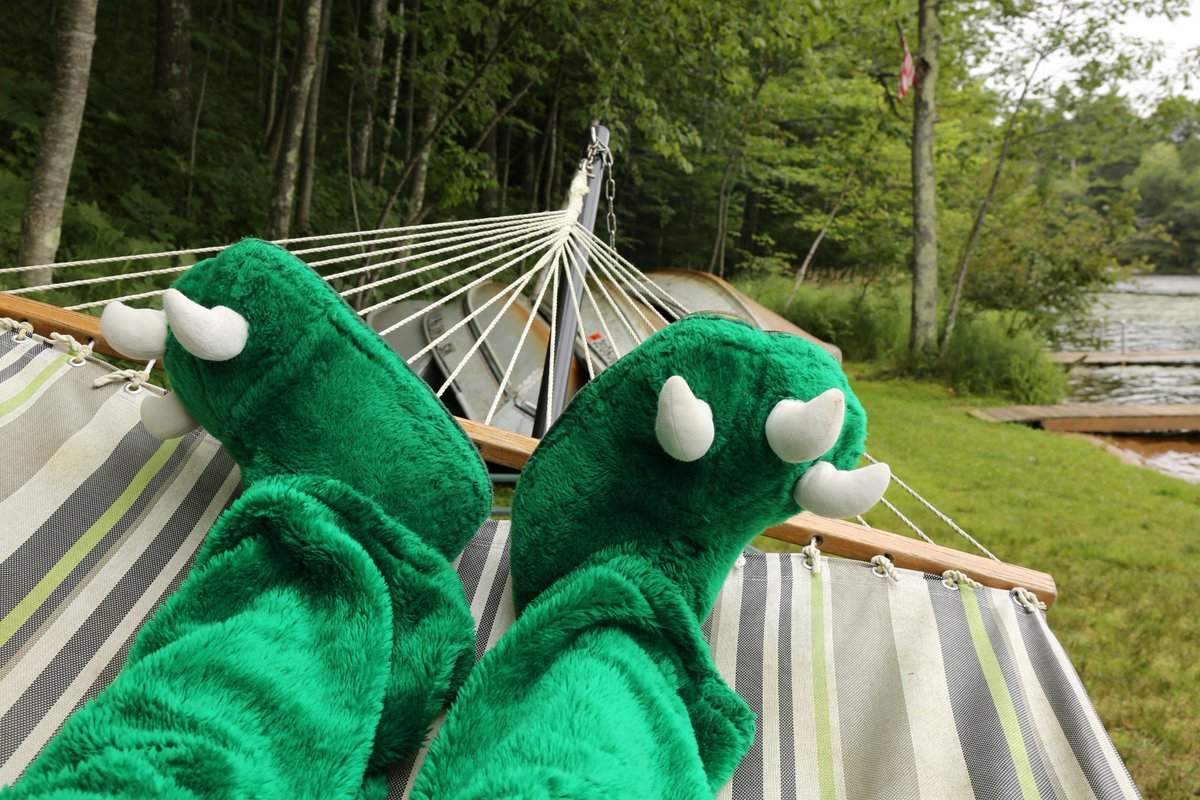 The Hodag tweet media