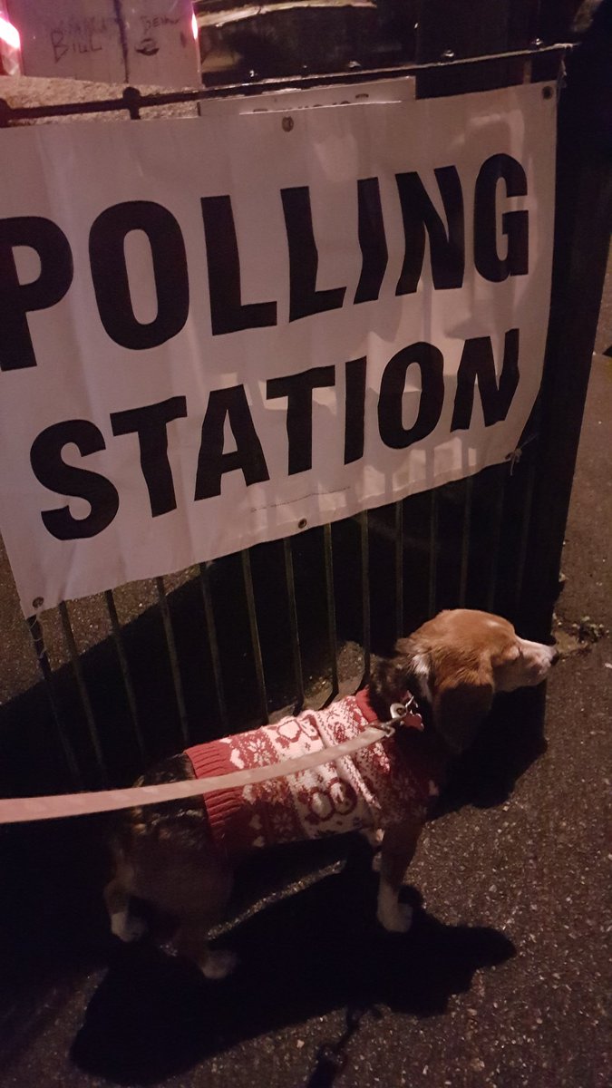 Lana casting her vote! We went inside too!!
#dogsatpollingstations