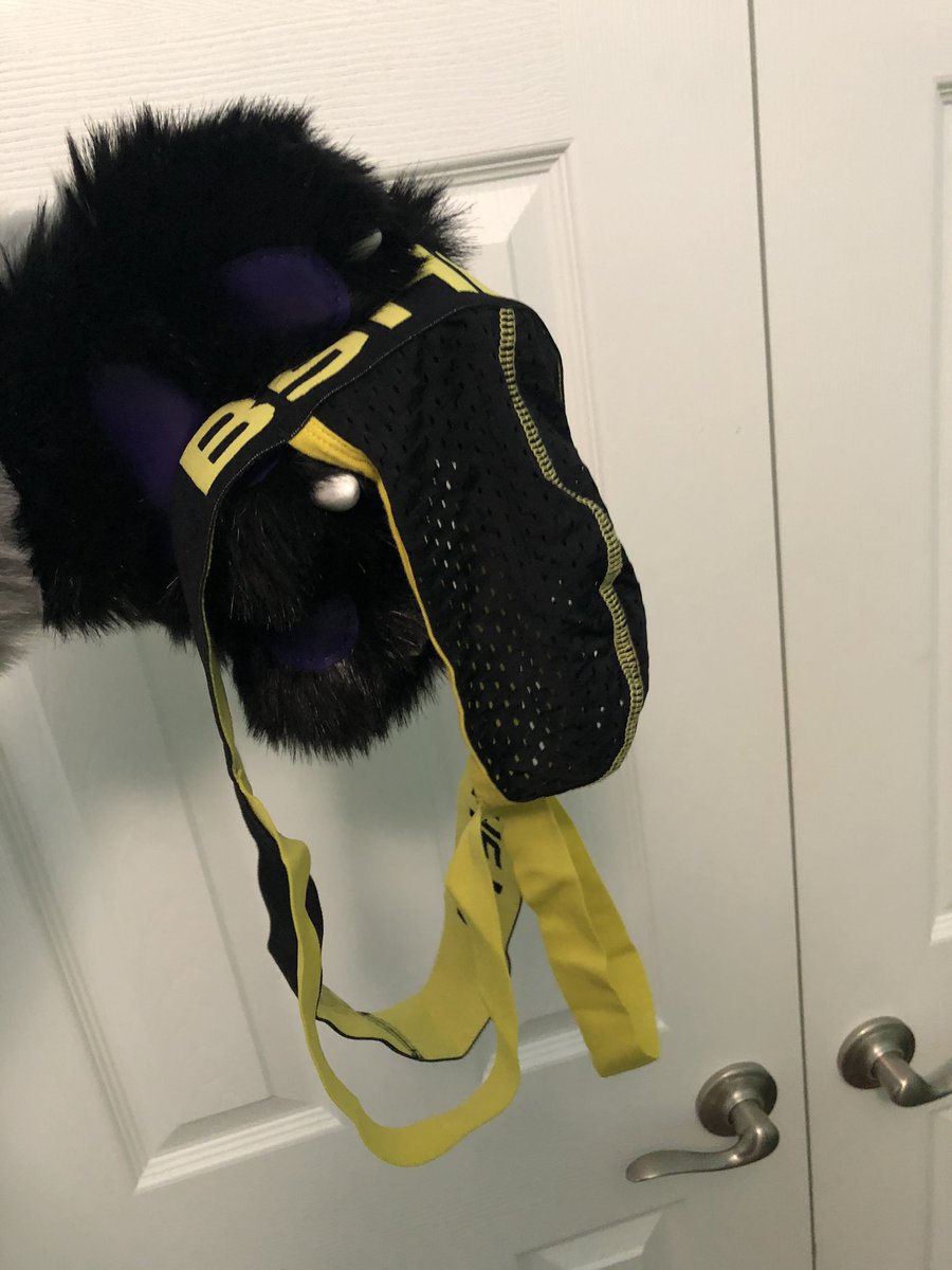 knottyrok's tweet photo. Time to accessorize? I really need to figure out some fun outfits to go with the rottie look. https://t.co/NSivIvS8XW