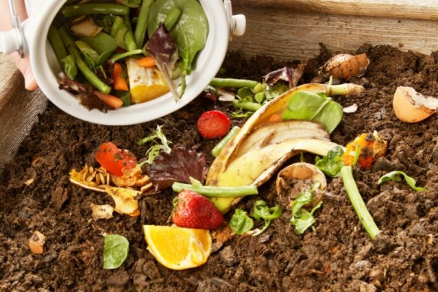 EnviroWorld_net's tweet photo. We abuse land and soil because we regard it as a commodity belonging to us. Let us start composting if not started yet. 

If you do, what tips can you share for those thinking about starting?  #Savesoil #saveearth
#ThursdayThoughts #composting #compost
#ThursdayMotivation https://t.co/kX0YVW3HNJ